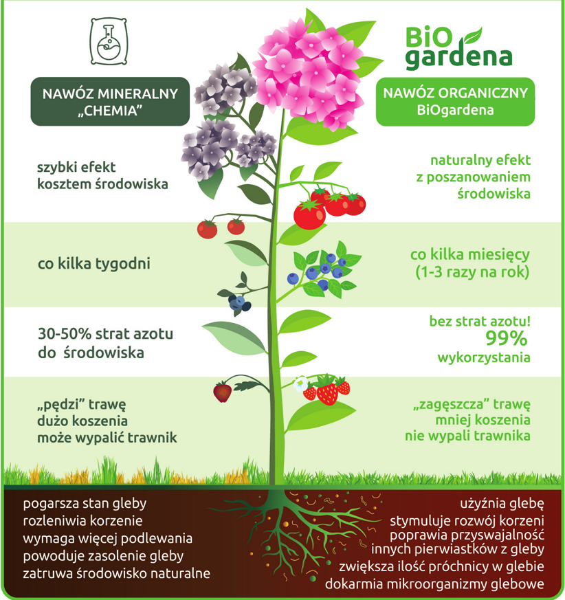 Nawóz do borówek, hortensji i innych roślin kwasolubnych 4w1